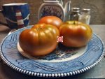 Dwarf Tasmanian Chocolate Tomato