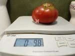 Dwarf Tasmanian Chocolate Tomato Seeds.
