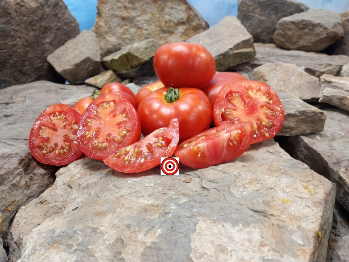 Dwarf Victorian Tomato Container Tomatoes.