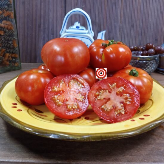 Dwarf Wild Spudleaf Tomato-Bounty Hunter Seeds-Heirloom Seeds