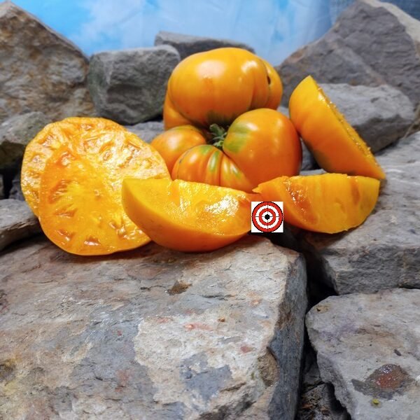 Elfie Tomato Seeds.