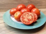 Elgin #9 Mocross Tomato