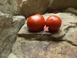 Palla Di Fuoco Tomato Seeds