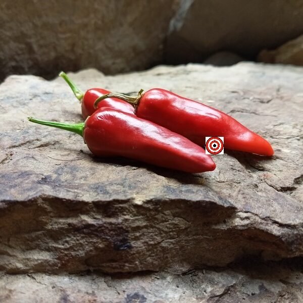 Fish Variegated Pepper