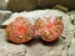 Fuzzy Cherokee Heirloom Tomato