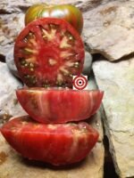 GUNMETAL GREY 2.0 INDETERMINATE TOMATOES
