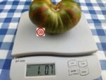 GUNMETAL GREY 2.0 Tomato by Dean Slater