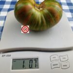 GUNMETAL GREY 2.0 Tomato by Dean Slater