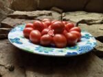 German Lunchbox Tomato Seeds