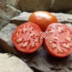 German Queen RL Tomato