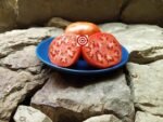 German Queen RL Tomato Seeds
