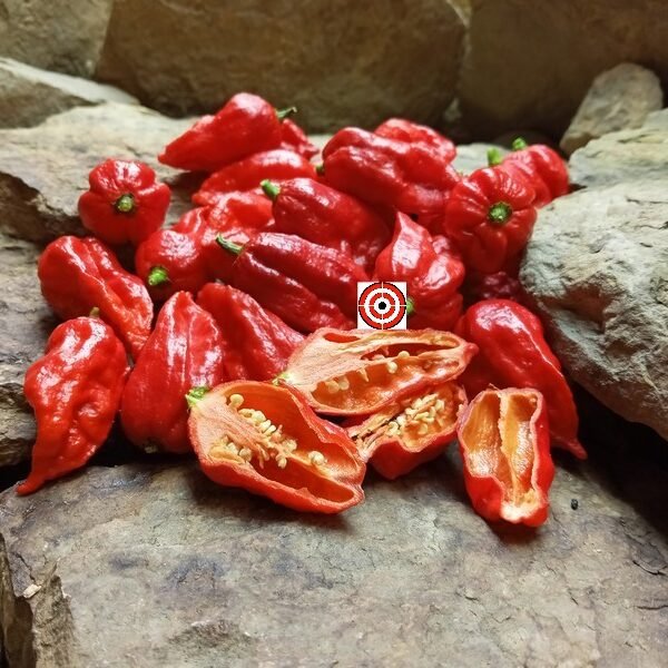 Ghost Pepper