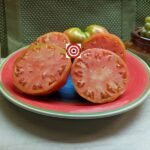 Giant Heart Climber Tomato