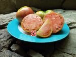 Giant Heart Climber Tomato Seeds