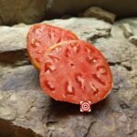 Gigant Doochov Tomato