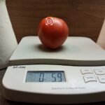 Girthmire's Pride Tomato