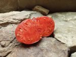 Girthmire's Pride Tomato Seeds