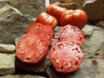 Goat Bag Tomato - Image 3