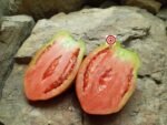 Goat Sac Tomatoes