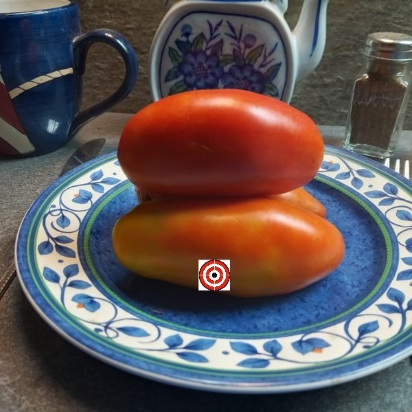 Goats Sac Tomato