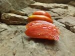 Goat Sac Tomato Seeds