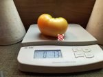 Gold Brooks Tomato
