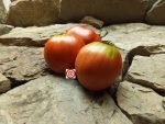 Grandi De Signora Tomato Seeds