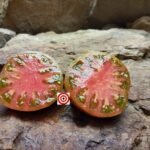 Grandma Oliver's Chocolate Tomato