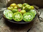 Grandpa Gary's Green Dwarf Tomato