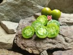 Green Brandy Tomato