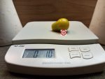 Green Pear Tomato - Image 3