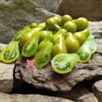 Green Pear Tomato