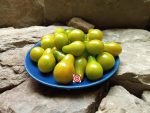 Green Pear Tomato Seeds
