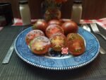 Gypsy Tysgan Black Tomato Beefsteak Tomatoes