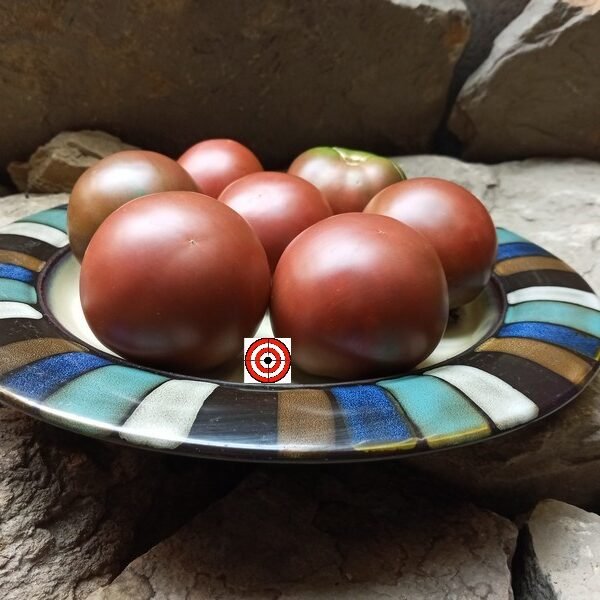 Gypsy Tysgan Black Tomato