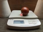 Gypsy Tysgan Black Tomato Seeds