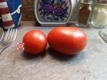 Haley's Rainbow Dwarf PL Tomato - Image 4