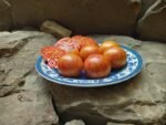 Dwarf Haley's Rainbow RL Tomato
