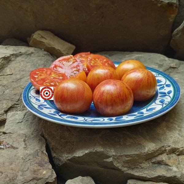 Dwarf Haley's Rainbow RL Tomato