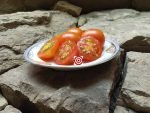 Hawaiian Cherry Tomato Seeds