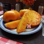 Hawaiian Pineapple Tomato