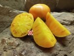 Hawaiian Pineapple Tomato - Image 6