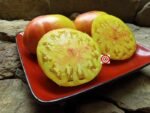 Hazel Mae Large Tomato