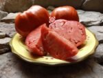 Goat Bag Tomato - Image 6