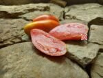 Heirloom Tomato Goat Sac Tomato