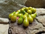 Heirloom Tomato Green Pear Tomato