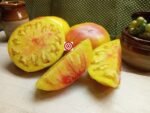 Heirloom Tomato Hazel Mae Tomato