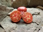 Heirloom Tomato O Riely's Best Tomato
