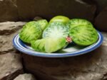 Heirloom Tomato Spear's Tennessee Green Tomato