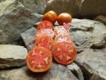 Herman's Special Tomato Seeds
